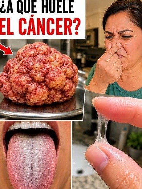 ¡Alerta Roja! 7 Olores Corporales que NUNCA Debes Ignorar: Podrían Estar ANUNCIANDO Problemas Graves de Salud