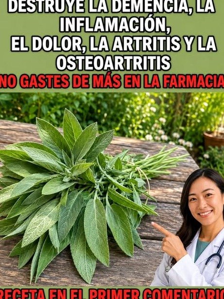 6 Secretos de la Abuela con Salvia: ¿Sabías que esta planta puede hacer TODO esto por ti?