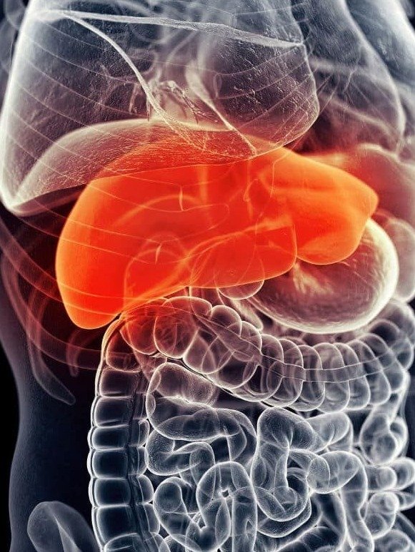 ¡Alerta Máxima! Tu Hígado Te Grita: 12 Señales de Cirrosis Que MILLONES de Mexicanos Ignoran (¡La #5 Es CRÍTICA!)