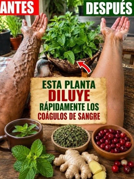 ¡Alerta Salud! Los 6 Secretos ANCESTRALES para un Corazón de Acero que tu Médico NO TE CONTARÁ (El #6 Es CLAVE Antes de Dormir)
