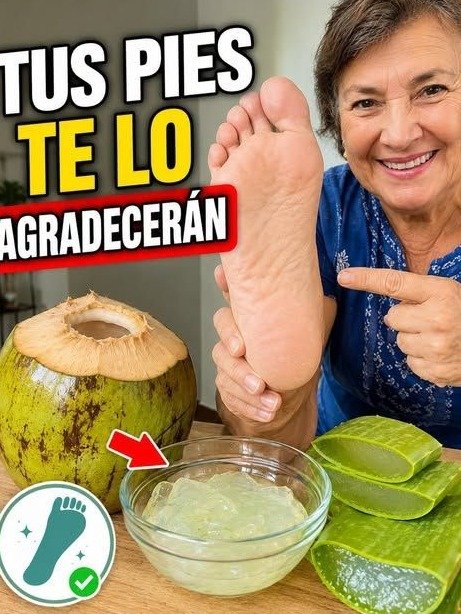 ¡Descubre el Secreto Viral! Cómo el Aloe Vera Transformará tus Piernas Cansadas y Várices en Días (¡No te lo Pierdas!)