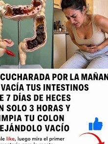 ¡No Vas a Creer el Impacto! 10 Superalimentos que Revolucionarán Tu Colon y te Darán una Energía Increíble