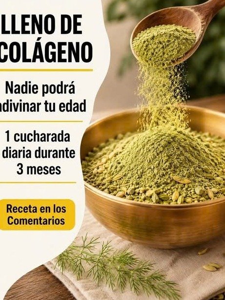 ¡El Secreto Que Nadie Te Cuenta! Así DEBES Consumir Moringa para Desbloquear Su Poder Total (y Sentirte Increíble)