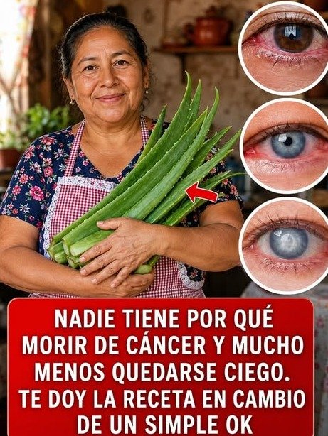 ¡STOP! Si Tienes +50 y tu Visión Está Borrosa, ESTOS 7 Hábitos Diarios son la CAUSA Oculta (y Cómo Revertirlos HOY)