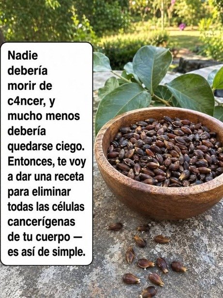 ¡ALERTA VIRAL! ¿Son las Semillas de Manzana la Cura del Cáncer? La CIENCIA DESMIENTE el MITO y Revela un PELIGRO OCULTO