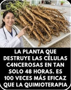 ¡Impactante! La 'Mala Hierba' que Podría ELIMINAR Células Cancerígenas en 48 Horas (La Ciencia lo Confirma)