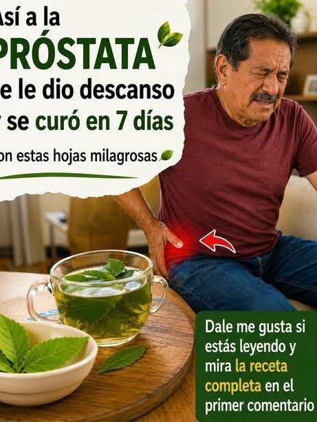 ¡HOMBRES +50! El 'Truco Olvidado' de la Ortiga para Dormir del Tirón y Decir Adiós a las Idas al Baño