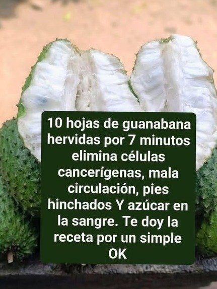 ¡ATENCIÓN! Si Sufres de Dolencias Crónicas, la Guanábana Esconde un Secreto que Nadie Te Ha Contado (y Podría Cambiar Tu Vida)