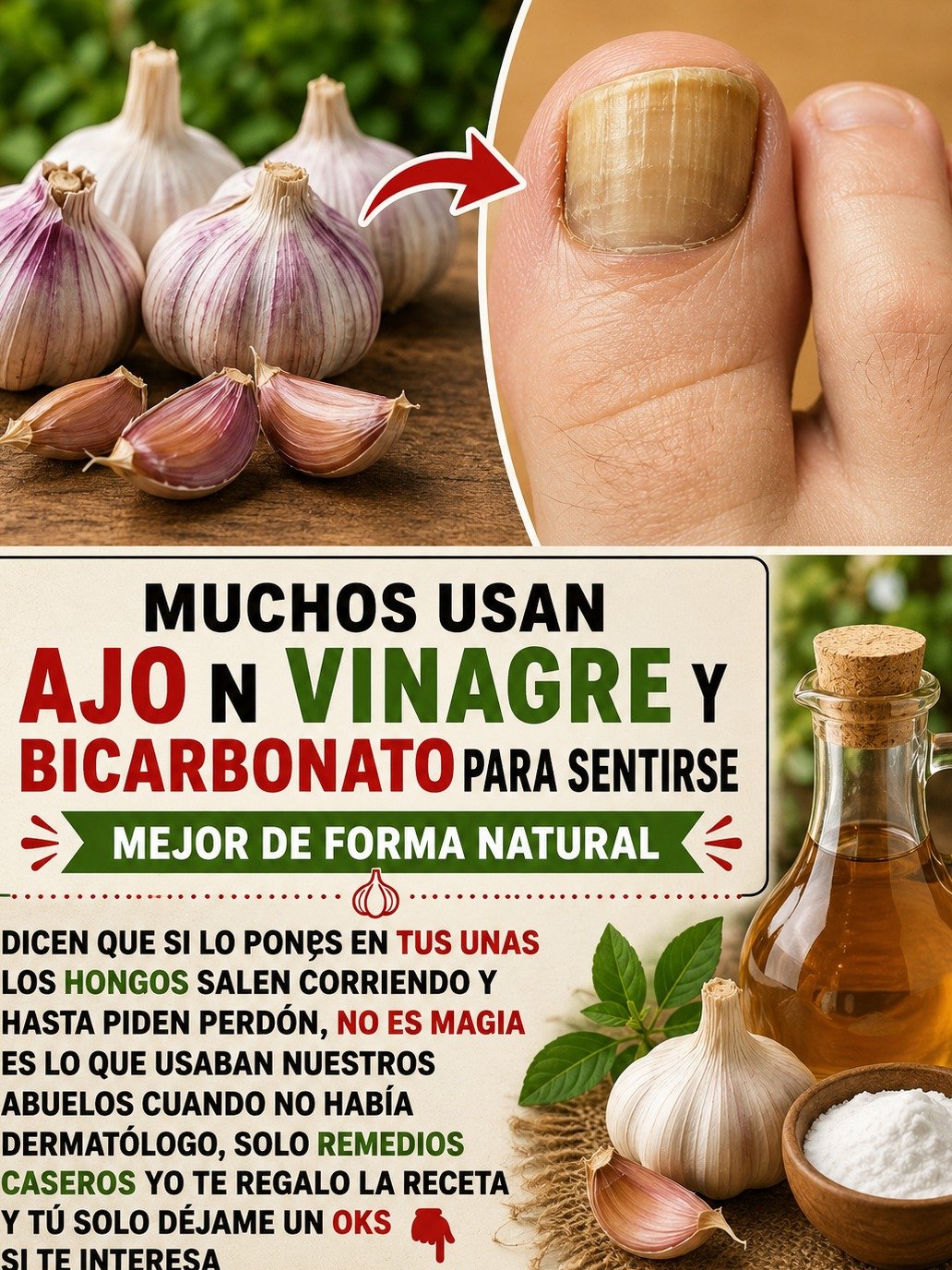 ¡No Vas a Creer Esto! El Secreto Ancestral del Ajo que Podría Revolucionar Tu Circulación Sanguínea Hoy Mismo