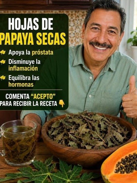 El SECRETO de las hojas de papaya que TODO México mayor de 50 está descubriendo (¡y tú NO lo sabes!)