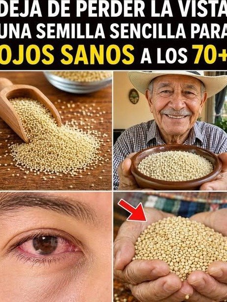 ¿Cansado de la Vista Borrosa? Este Pequeño Grano Olvidado Puede REVOLUCIONAR tus Ojos Después de los 50 (¡El Secreto que Nadie te Contó!)