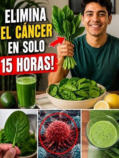 ¿Cansado y sin energía? Esta humilde hoja verde esconde el secreto que tu médico no te ha contado (y que necesitas HOY)
