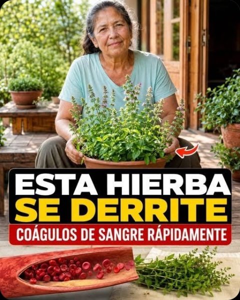 ¡Piernas Ligeras al Fin! Descubre las 5 Hierbas Ancestrales que Activarán tu Circulación (El Secreto #4 es IMPRESCINDIBLE)