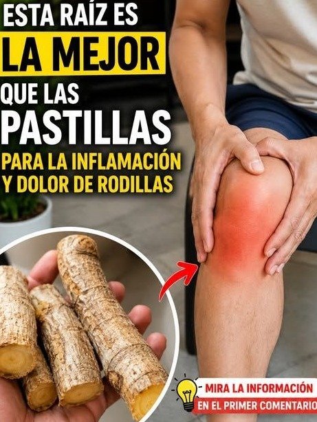 ¡Advertencia! Si Ignoras ESTA Raíz, Tus Rodillas Podrían Sufrir (El Hábito Secreto que Todos Pasan por Alto)