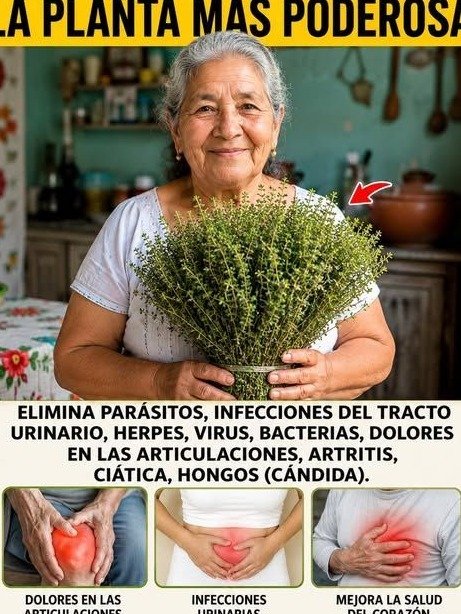 ¡El Secreto Ancestral Revelado! La Única Planta