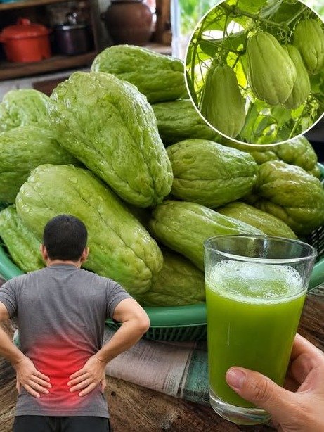 ¡ALERTA! Un Solo Chayote Puede REVOLUCIONAR Tu Salud: Di Adiós al Dolor de Rodillas, Pies Hinchados, Presión Alta y Colesterol. ¡El Secreto que Nadie te Contó Está Aquí!