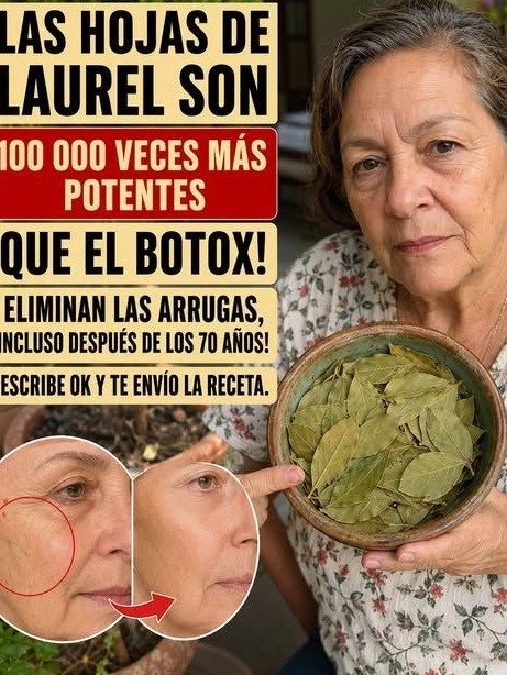 ¡Alerta Viral! El 'Secreto' del Laurel para las Arrugas que NADIE Te Cuenta: ¿Funciona o Es un Mito? ¡Tu Piel Merece Saber la Verdad!
