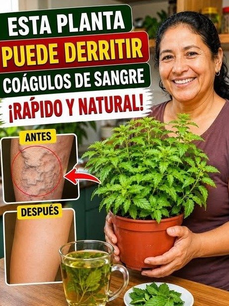 ¡No ignores tus piernas! El secreto ancestral para decir adiós a la pesadez y la hinchazón (Funciona en semanas)