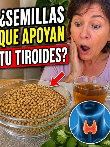 ¡Alerta! Tu Tiroides Te Grita: 6 Secretos con Semillas de Cilantro para Reactivar Tu Energía y Metabolismo ¡Hoy Mismo!