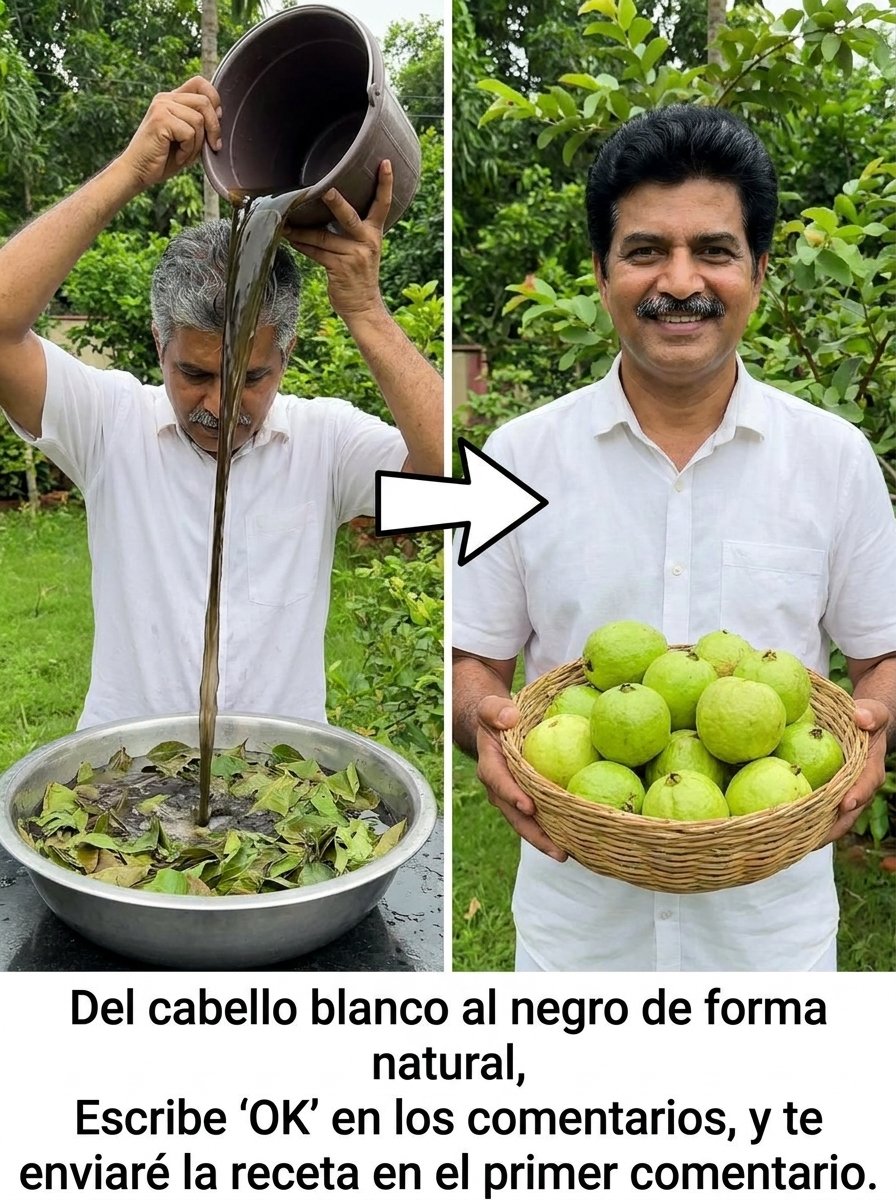 El Secreto Mejor Guardado: ¿Puedes REALMENTE Oscurecer Tus Canas Naturalmente? Descubre la Verdad y Transforma Tu Cabello Hoy