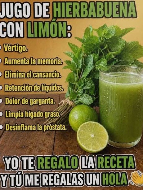 ¡El Secreto Refrescante que Tu Cuerpo Agradecerá! Descubre el Poder Oculto del Jugo de Hierbabuena con Limón para Energía y Bienestar Total