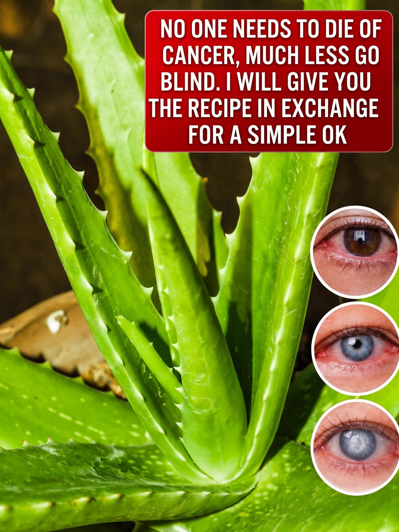 The Ancient Secret You're Missing: How This 2-Ingredient Cinnamon & Aloe Vera Drink Can Transform Your Health!