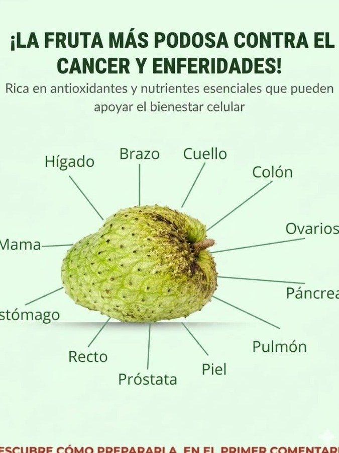 ¡Alerta Saludable! Guanábana: La Superfruta que Desafía al Cáncer – Receta Poderosa y 20 Beneficios Ocultos