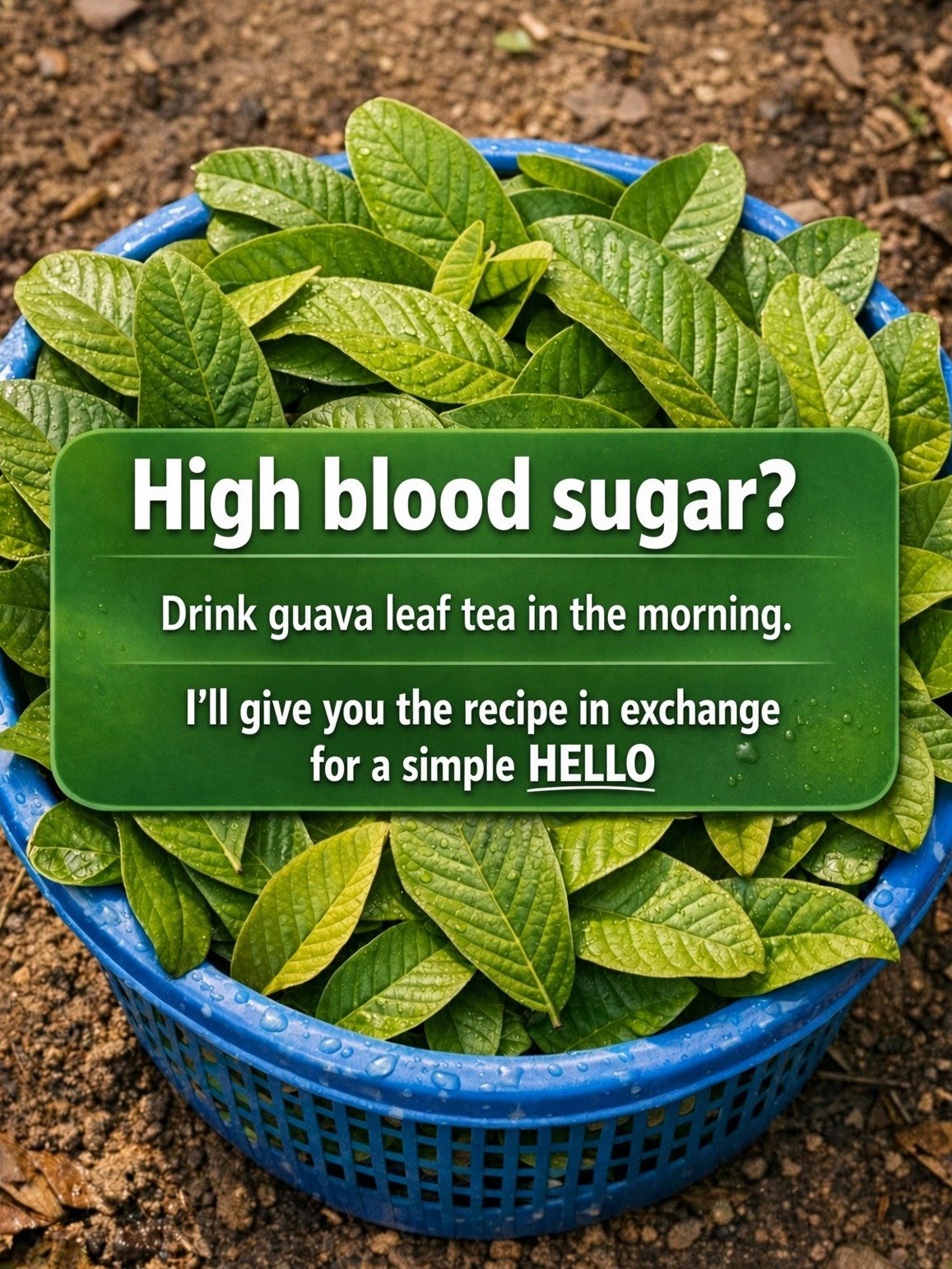 Transform Your Diet: 5 Mind-Blowing Guava Recipes You Absolutely MUST Try This Week!