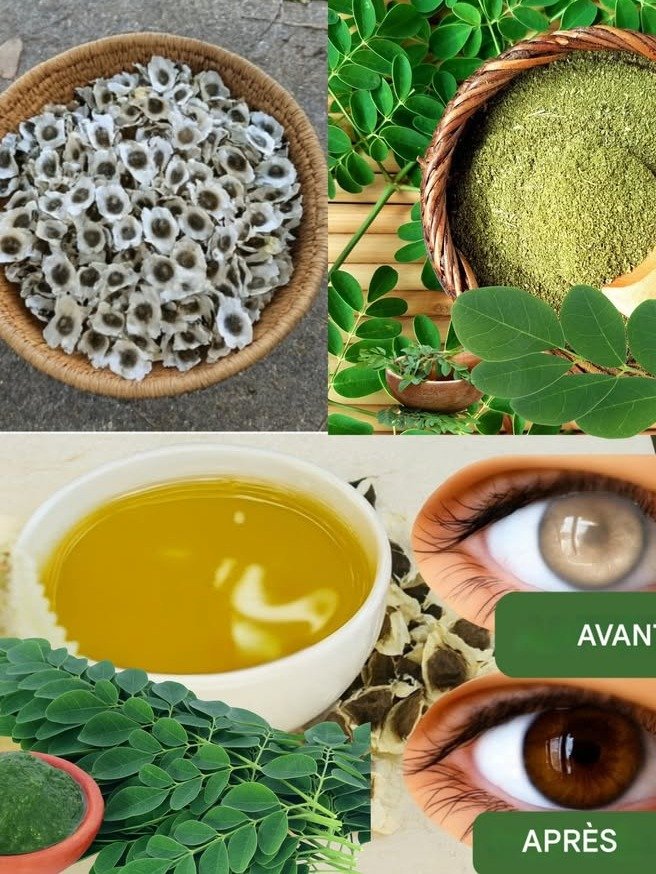 ¡ALERTA! El Secreto Natural que Puede SALVAR tu Vista: Lo que el Moringa Hace por tus Ojos es Increíble 👀🌿