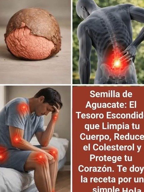 ¡No Tires el Hueso de Aguacate! El Secreto Oculto que Transformará tu Salud para Siempre