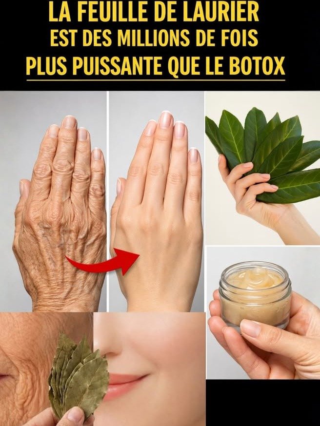 ¡El secreto mejor guardado para una piel sin arrugas! Tu cocina esconde el 'botox natural' que necesitas HOY.