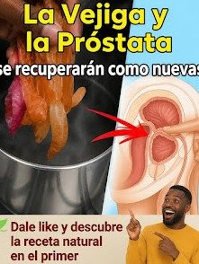 ¡ALERTA! Estás Desechando un TESORO: Los 5 Beneficios OCULTOS de la Cáscara de Cebolla que la Ciencia YA CONFIRMA