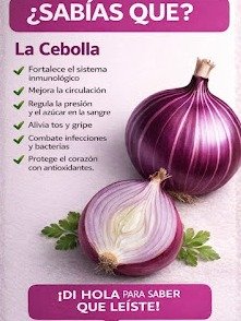 ¡Alerta Saludable! 7 Razones Impactantes por las que la Cebolla Morada es el Superalimento que Tu Cuerpo Necesita HOY
