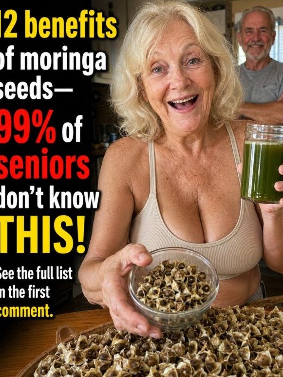 12 Shocking Ways Moringa Seeds Are Rewiring Aging Bodies (Are You Missing Out?)