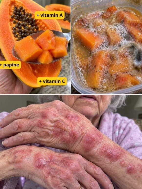 ¡ALERTA! El Error Fatal con Papaya: Los 4 Alimentos Que La Convierten en Tu Peor Enemigo Digestivo (¡Nadie Te Lo Contó!)