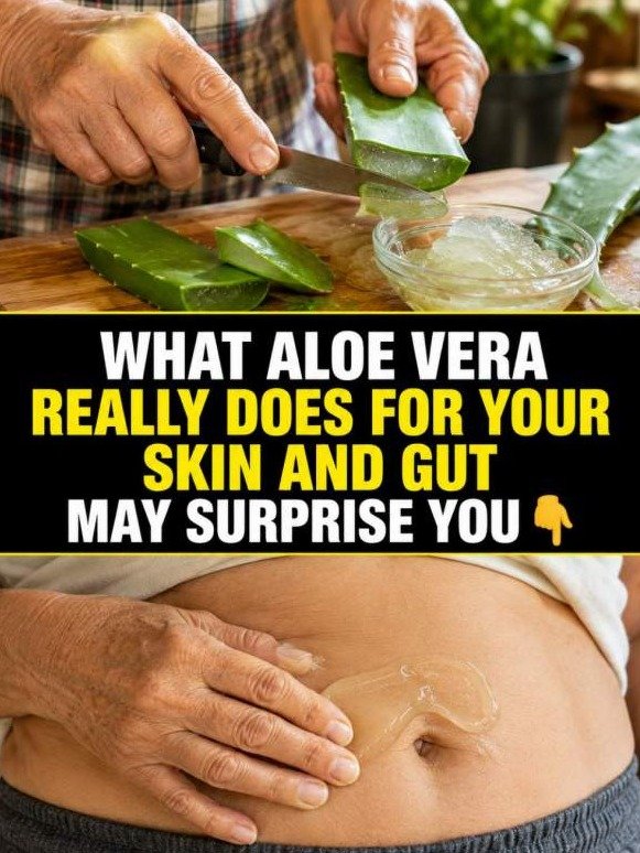 ¡El Secreto Que Tu Médico NO Te Contará! Cómo el Aloe Vera Elimina la Acidez, la Hinchazón y el Pánico del Baño Para Siempre