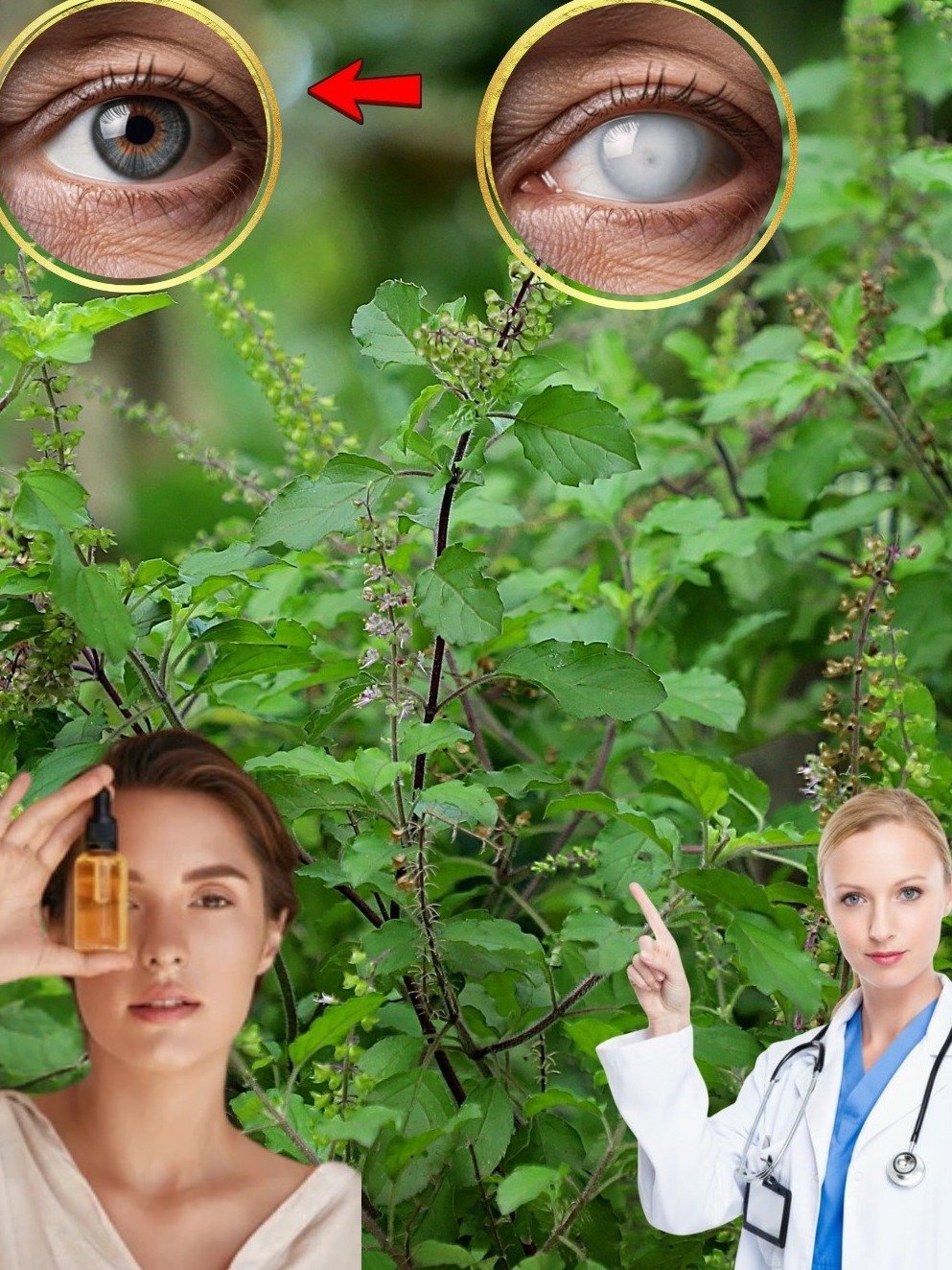 Your Eyes Will Thank You: The Ancient Basil Secret for Naturally Sharper Vision and Soothed Eyes!
