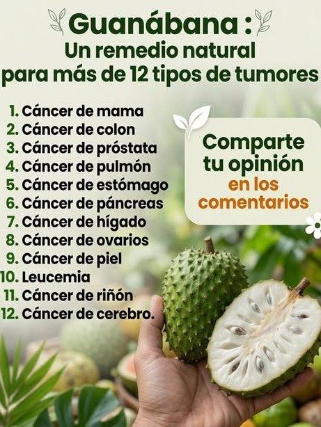Más Allá del Cáncer: Los Increíbles Secretos de la Graviola que la Ciencia por Fin Confirma (¡Y Cómo Preparar el Smoothie Perfecto!)
