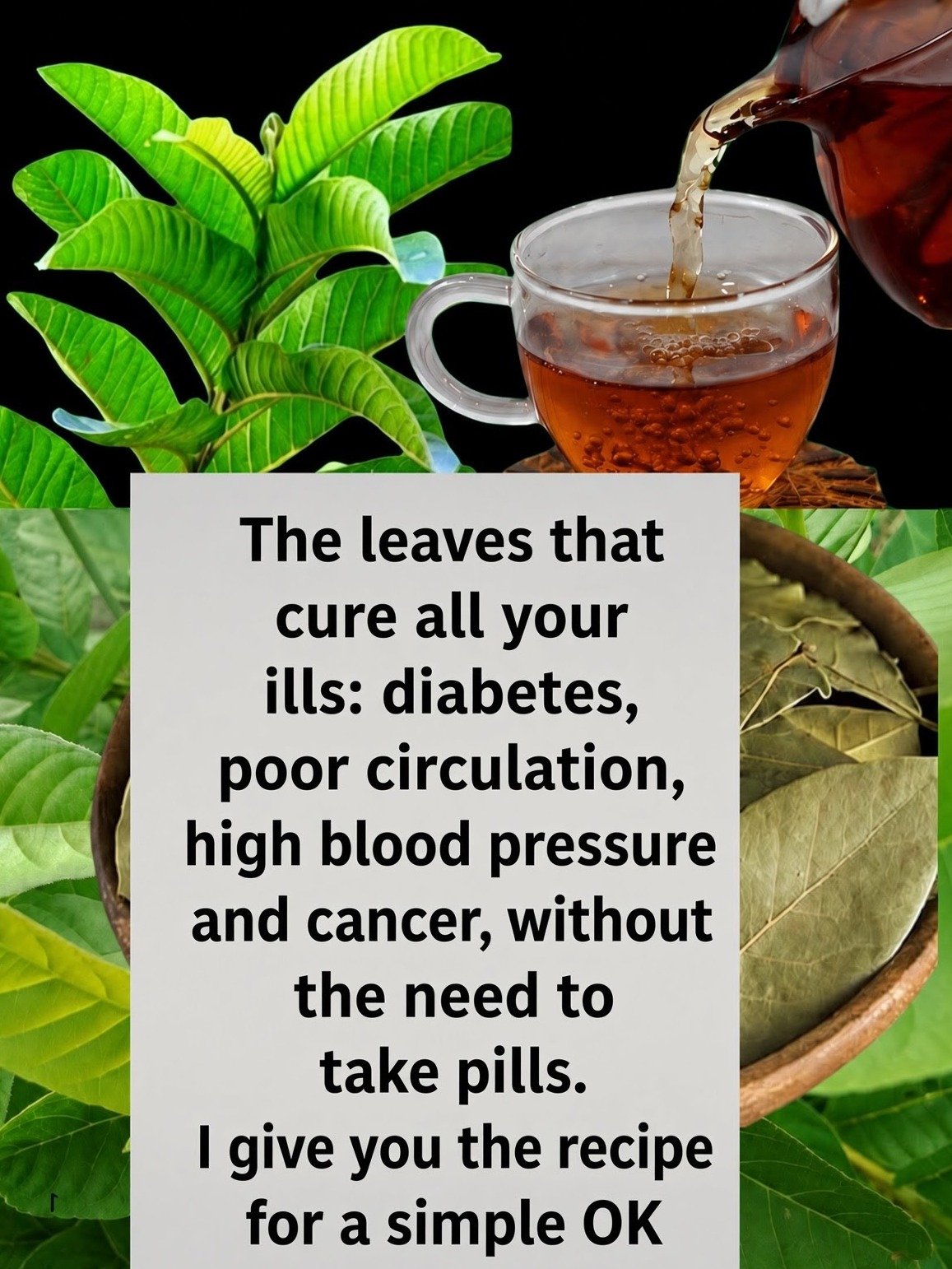 5 Natural Leaves That Might Help Your Blood Sugar (And Why You Should Be Careful)