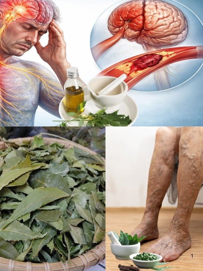 ¡ATENCIÓN! La Hoja Amarga Milenaria que NADIE te ha Contado: Descubre CÓMO el Neem Puede Transformar tu Bienestar General de Forma Inesperada