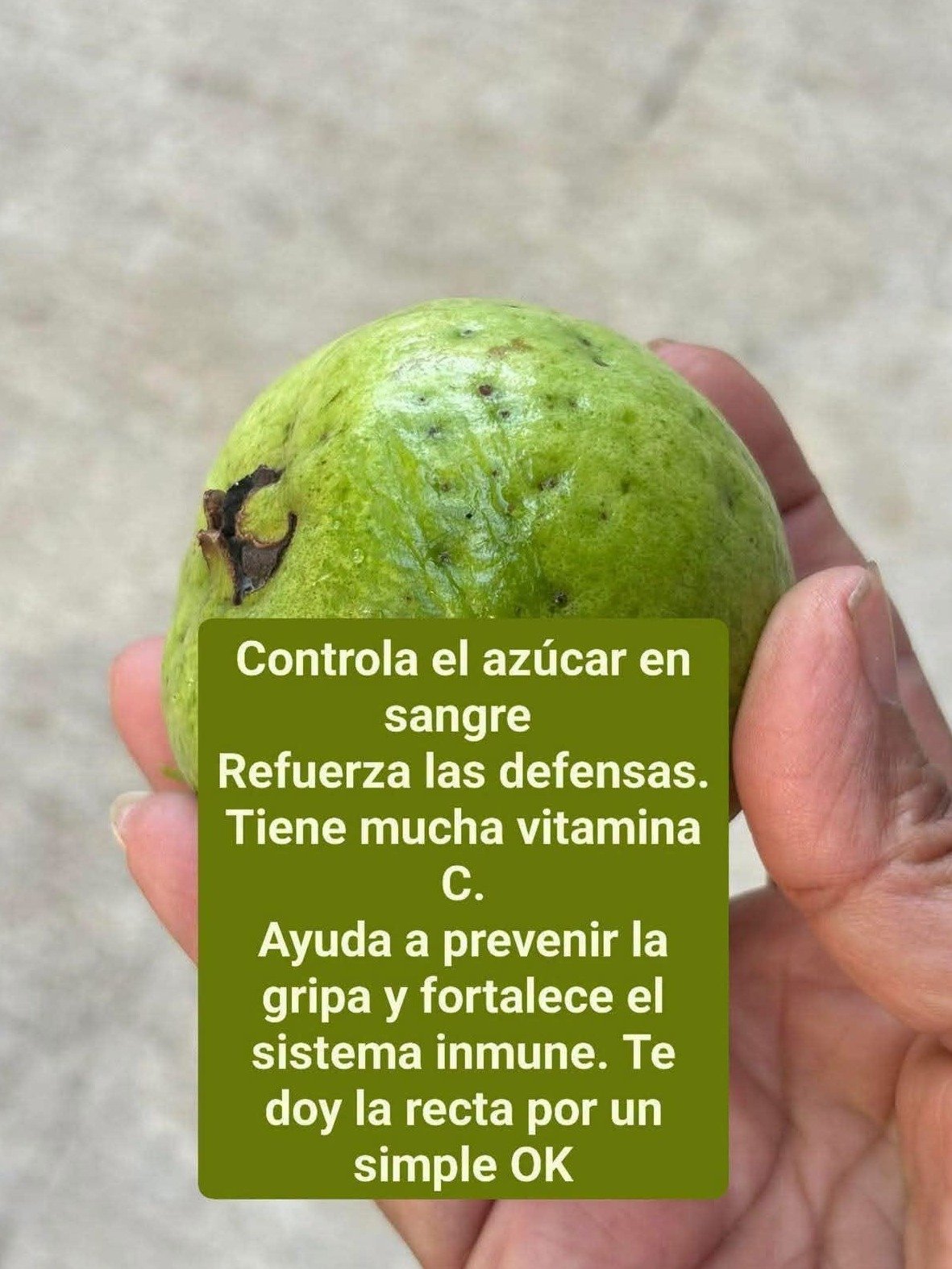 La Guayaba: El Superfruto que la Industria Farmacéutica No Quiere que Conozcas (¡Controla tu Azúcar y Fortalece tus Defensas Naturalmente!)