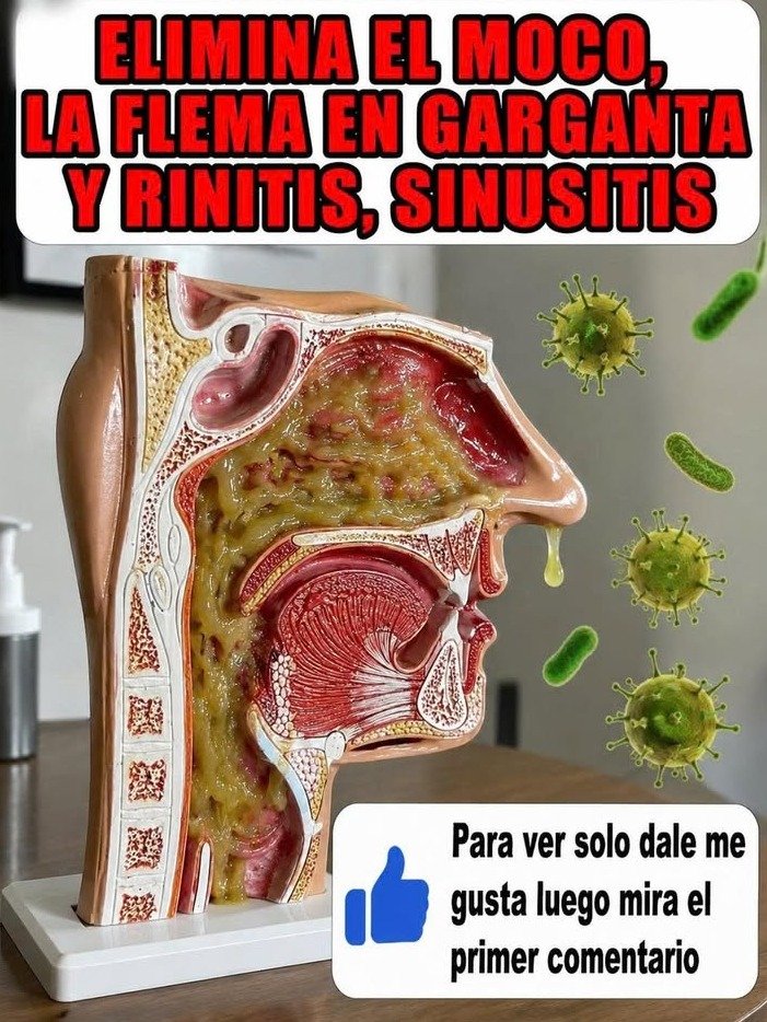¡Adiós a la flema y la rinitis! El remedio casero definitivo que los médicos no quieren que descubras