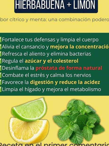¡El Secreto Que Tu Cuerpo Te Pide a Gritos! Descubre Cómo Este Jugo de Hierbabuena y Limón Transforma Tu Salud y Energía