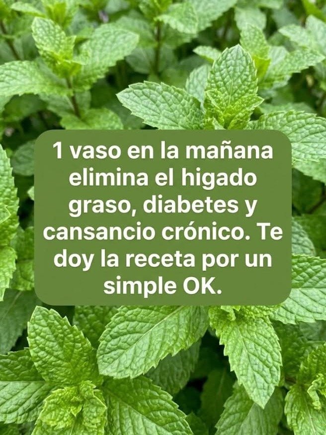 Adiós a la hinchazón: El truco natural con hierbabuena y limón que está cambiando vidas