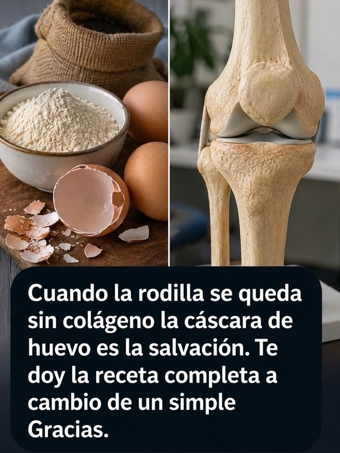 ¡ADVERTENCIA! Cuando la rodilla sufre por falta de colágeno, ¡esta cáscara de huevo es LA SALVACIÓN! (Receta aquí)