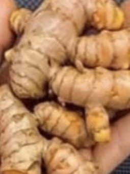 El Secreto Dorado que Tu Cuerpo Te Pide a Gritos: Descubre la Bebida de Cúrcuma y Jengibre que Todos Quieren