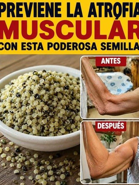 ¡El Secreto Que NADIE Te Contó! 5 Semillas Que Despiertan Tus Piernas y Pulverizan la Sarcopenia