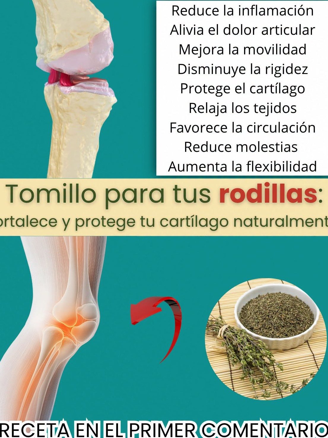 ¿Sufres de Rodillas? El Tomillo Esconde el Remedio Natural para Regenerar tu Cartílago que DEBES Conocer