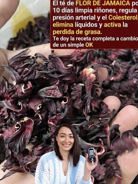 El tesoro rojo que tu cuerpo necesita: 6 razones científicas para beber té de Flor de Jamaica hoy mismo