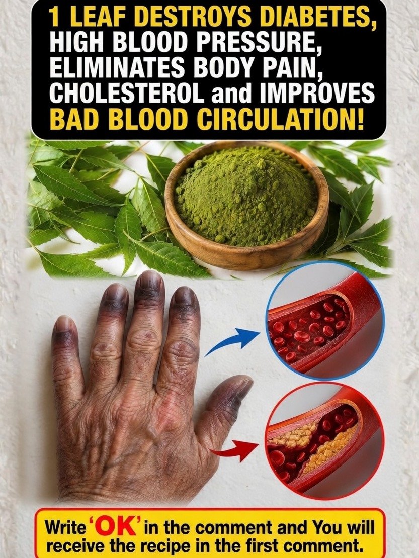 The Ancient Secret Leaf Everyone's Talking About: Why You NEED to Know About Neem NOW!